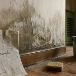 Assèchement des murs : mur humide avec salpêtre et cloques sur plâtre